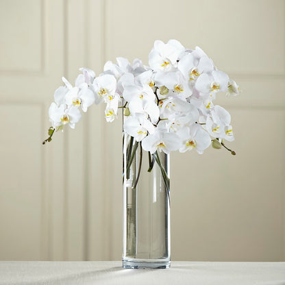 White Phalaenopsis Bouquet – WOYSHNER'S FLOWER SHOP, Lackawanna NY