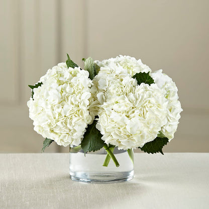 White Hydrangea Bouquet – WOYSHNER'S FLOWER SHOP, Lackawanna NY